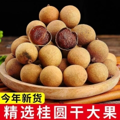 Really Good Brand Longan Meat Dried Slices from Putian City Fujian Province China Packaging with 100g per Pack Healthy Snack for Home