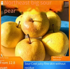 Northeast big sour pear