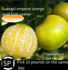 Guangxi Emperor citrus